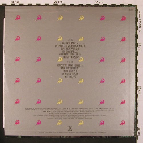 Lee,Randy: Soakin' With Tears, Elektra(EKS-75081), US, stol, 1974 - LP - B3992 - 5,00 Euro