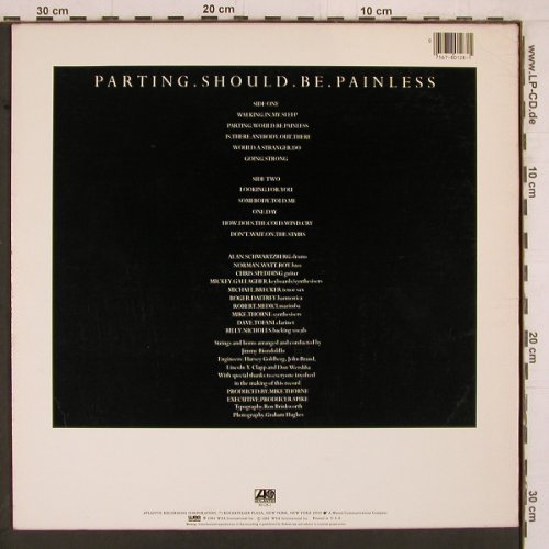Daltrey,Roger: Parting Should Be Painless, Atlantic(7 80128-1), US, 1984 - LP - E3021 - 5,00 Euro