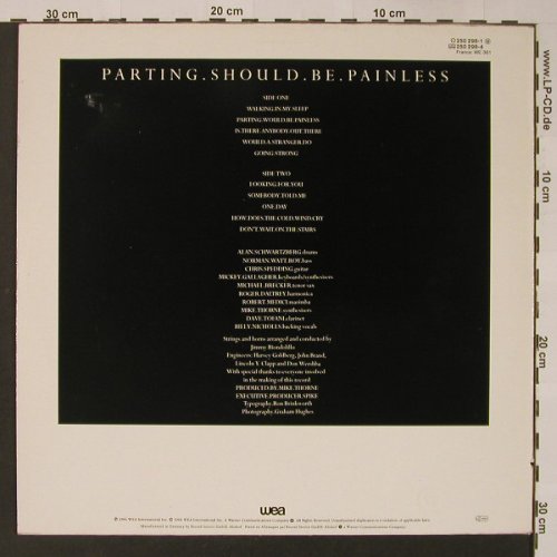 Daltrey,Roger: Parting Should Be Painles, WEA(250 298-1), D, 1984 - LP - F3315 - 5,00 Euro