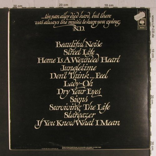 Diamond,Neil: Beautiful Noise, CBS(86004), Israel, 1976 - LP - F5958 - 5,00 Euro