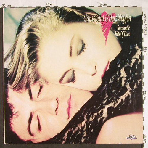 V.A.Gänsehaut und Herzklopfen: Romantic Hits of Love, Polystar(845 122-1), D, 1990 - 2LP - F9553 - 5,00 Euro