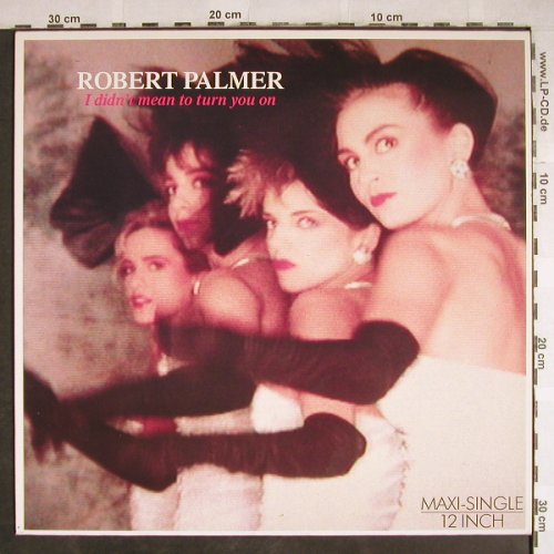 Palmer,Robert: I Didn't Mean To Turn You On+1, Island(608 328), D, 1985 - 12inch - H7830 - 3,00 Euro