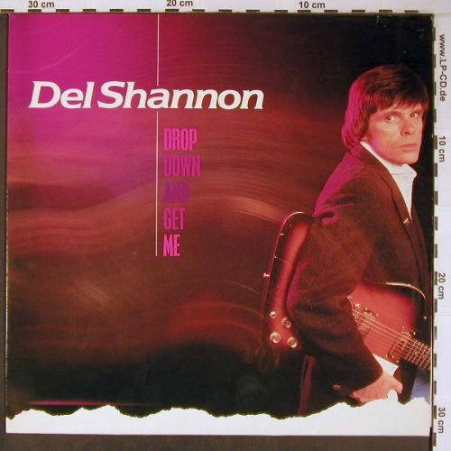 Shannon,Del: Drop Down And Get Me,Musterplatte, RCA Instant(ZL 28538), D, 1983 - LP - X6353 - 12,50 Euro
