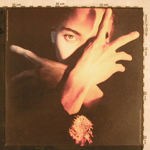 D'Arby,Terence Trent: Neither Fish Or Flesh, CBS(4658019 1), NL, 1989 - LP - X661 - 5,50 Euro