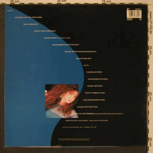 Estefan,Gloria: Into The Light, Epic(467782 1), NL, 1991 - LP - X7777 - 5,50 Euro