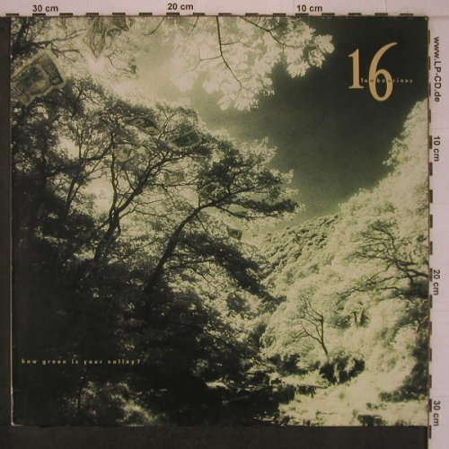 16 Tambourines: Haw green is your valley ?, Arista(210 307), D, 1989 - LP - X7801 - 7,50 Euro