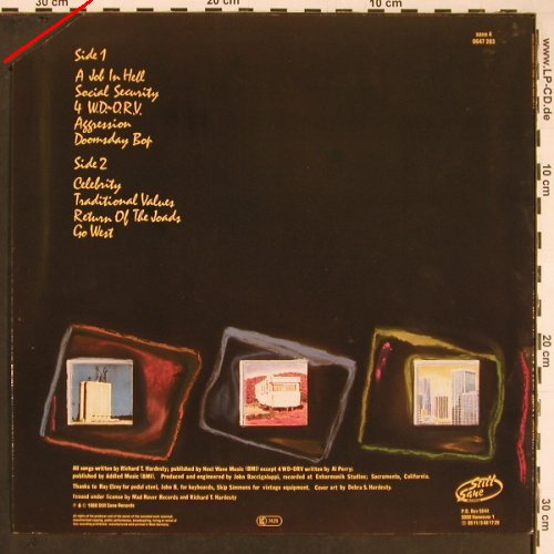 Hardesty,Rich & Del Reys: Introducing, Still Sane Records(0647 283), D, CO, 1988 - LP - Y259 - 5,00 Euro