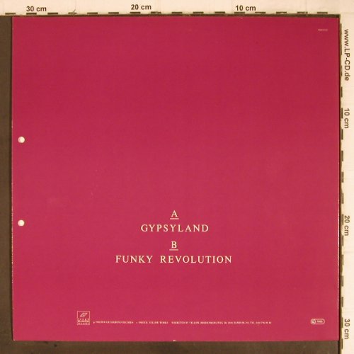 Fleming,Joy:&nbsp;Gypsyland / Funky Revolution, Rough Diamonds (RD 02283), D, co², 1988 Typ:&nbsp;12" Best.-Nr.:&nbsp;Y9032 Preis:&nbsp; 2,50 Euro