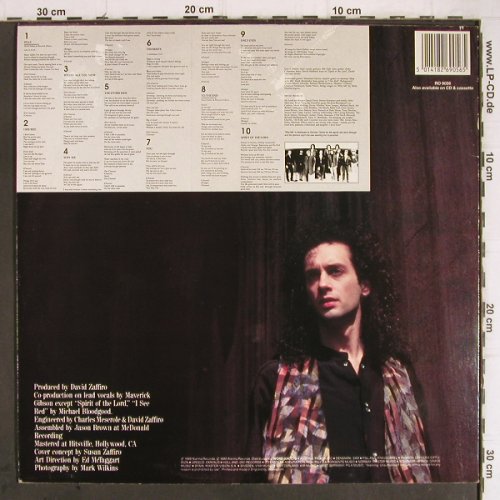 Zaffiro,David: The Other Side, Alarma Rec.(RO 9056), UK, 1989 - LP - Y9224 - 6,00 Euro