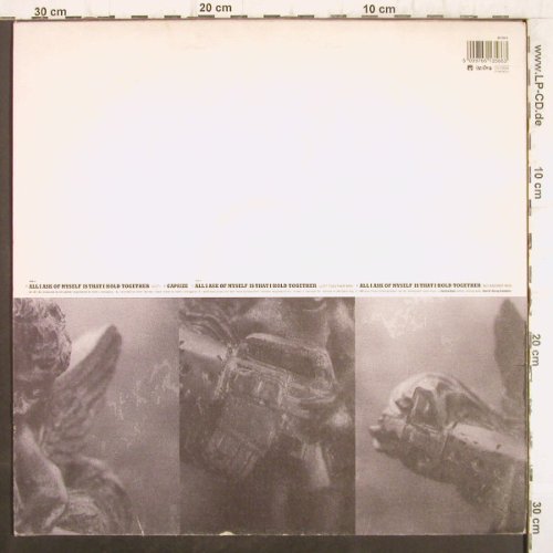 Ned's Atomic Dustbin: All I Ask Of Myself is that hold..., Sony/Furtive(661356 6), , 1995 - 12inch - F8839 - 4,00 Euro