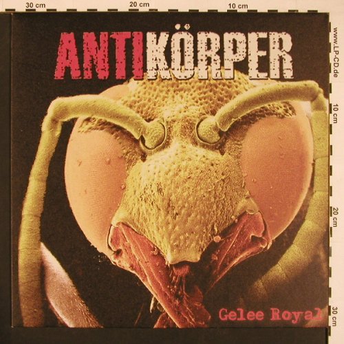 Antikörper: Gelee Royal, Lim.Ed.Nr.136 of 500, Klartext Records(Nr.5), D, 2002 - LP - X8542 - 9,00 Euro