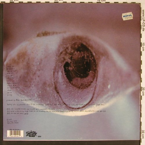 Run Westy Run: Green Cat Island, Twin Tone Records(ttr 89/99-1), US, 1990 - LP - Y628 - 9,00 Euro