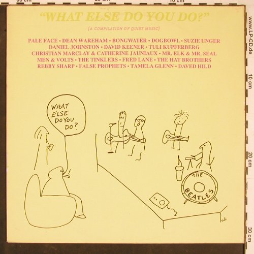 V.A.What Else Do You Do?: Pale Face.. Daved Hild, 18 Tr., Shimmy Disc Europe(SDE 9021 LP), NL, 1990 - LP - Y814 - 9,00 Euro