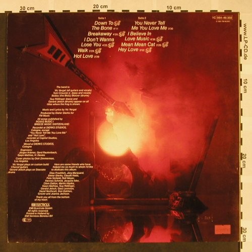 Vergat,Vic: Down To The Bone, EMI(064-46 350), NL, 1981 - LP - H4077 - 5,00 Euro