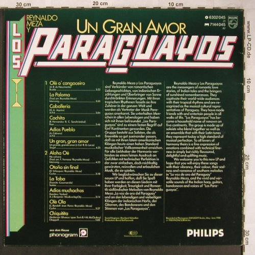 Meza,Reynaldo y Los Paraguayos: Un Gran Amor, m-/vg+, Philips(6302 045), D, 1980 - LP - X5009 - 5,50 Euro