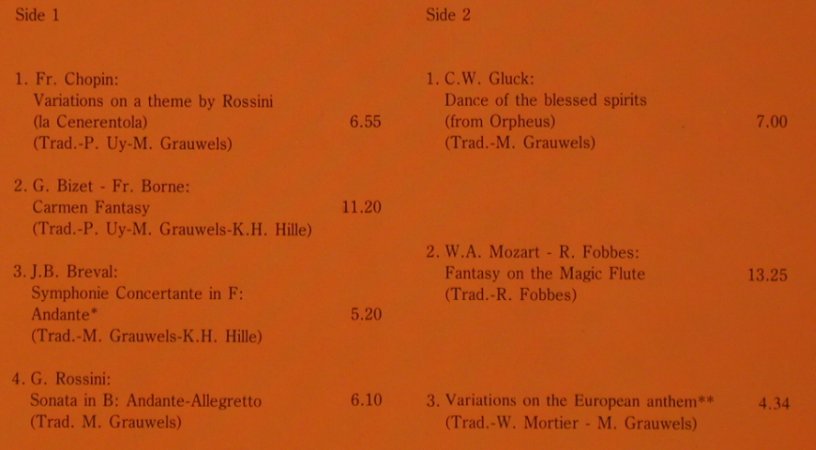 Grauwels,Marc: The Magic Flute, CNR/RTBF(655.248), D, 1987 - LP - L6911 - 5,00 Euro