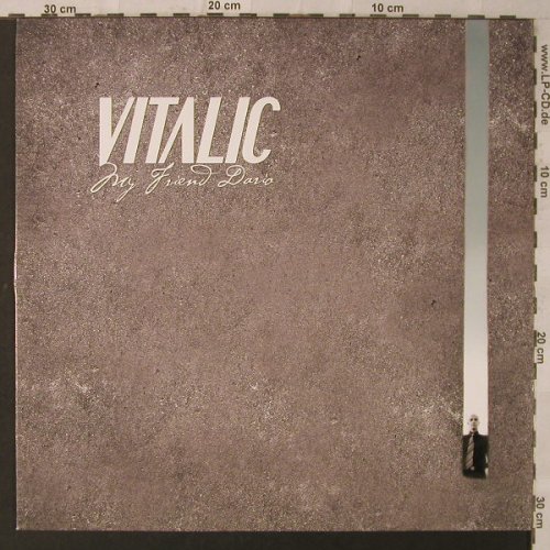 Vitalic: My Friend David, Different(451.1042.130), EU, 2005 - 12inch - F2178 - 4,00 Euro