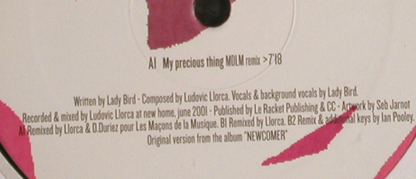 Llorca feat.Lady Bird: My Precious Thing*3,LC,Promo, F Communications(), D, FS-New, 2001 - 12inch - H6441 - 4,00 Euro