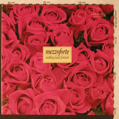 Mezzoforte: Nothing Lasts Forever *2 /Joyride, RCA(PT 40980), D, 1986 - 12inch - X2622 - 4,00 Euro