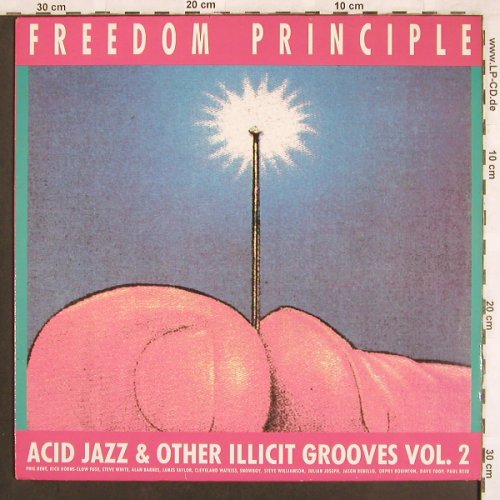 V.A.Freedom Principle Vol.2: Acid Jazz & other illicit Grooves, Polyd.(837 925-1), UK, 1989 - LP - X3545 - 7,50 Euro