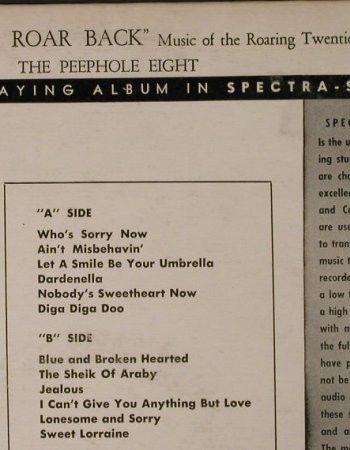 Peep Hole 8": The Twenties Roar Back, Design(DLP 66), US,  - LP - H2920 - 7,50 Euro