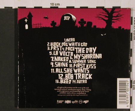 Joe Leila: Black Dog White Dog, Digi, Sameway Music(), EU, 2005 - CD - 50167 - 7,50 Euro