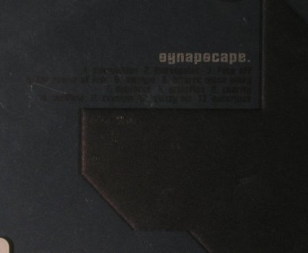 Synapscape: Positive Pop, FS-New, Nova-Ant Zen(), , 2001 - CD - 94923 - 12,50 Euro