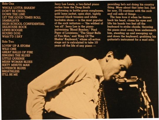 Lewis,Jerry Lee: The Essential-20original R'n'R Hits, Charly(CRM 2001), UK,Mono,Ri,  - LP - H7122 - 5,50 Euro
