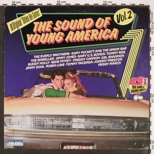 V.A.The Sound of Young Americans: Vol.2, Buddy Holly...Johnny Preston, Teldec (6.25021 AP), D, 1982 Typ: LP Best.-Nr.: V2206 Preis: 6,00 Euro