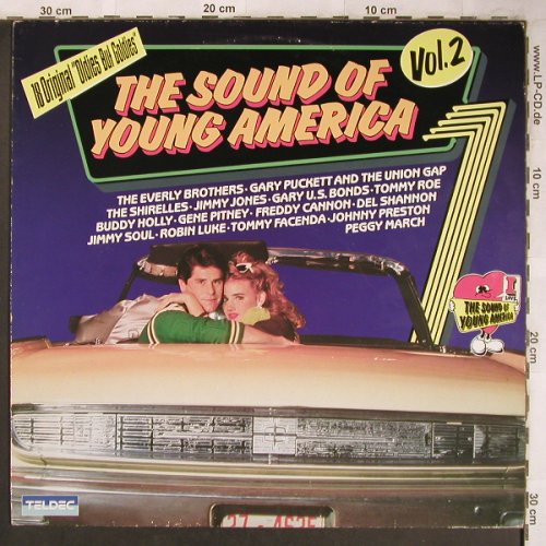 V.A.The Sound of Young Americans: Vol.2, Buddy Holly...Johnny Preston, Teldec(6.25021 AP), D, 1982 - LP - X4797 - 5,00 Euro