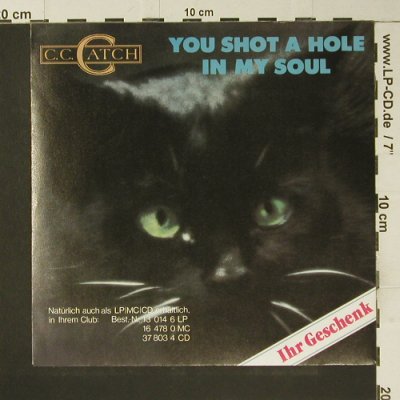 C.C.Catch: You Shot a Hole in my Soul-FLEXI, Hansa(13 423 9), D,  - 7inch - S7375 - 2,50 Euro