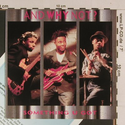And Why Not: Something you got/Diamonds, Island(842 244-7), UK, 1990 - 7inch - S8025 - 2,50 Euro