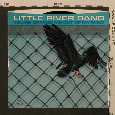Little River Band: You're Driving Me out of My Mind, Capitol(B-5256), US, 1983 - 7inch - T2091 - 2,50 Euro