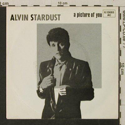 Stardust,Alvin: A Picture Of You/Hold Tight, Stiff (BUY 160)(6.13693), D, 1982 - 7inch - T3168 - 2,00 Euro
