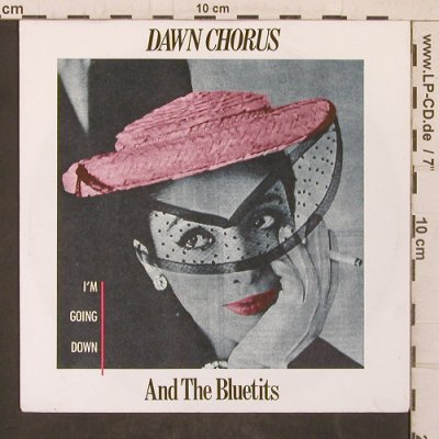 Dawn Chorus and theBluetis: I'm Going Down, Stiff(6.14518 AC), D, 1985 - 7inch - T5704 - 6,00 Euro