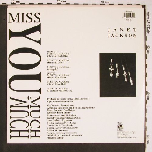 Jackson,Janet: Miss You Much*6, AM(390 465-1), D, 1989 - 12inch - C5919 - 3,00 Euro