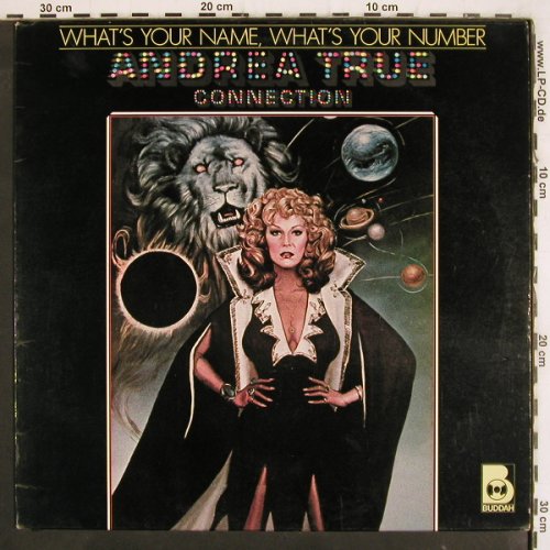 True Connection,Andrea: What's Your Name,What's your Number, Buddah (6.23432 AO), D, m-/vg+, 1978 Typ: LP Best.-Nr.: V4102 Preis: 12,50 Euro