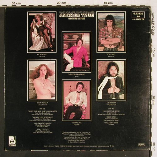 True Connection,Andrea: What's Your Name,What's your Number, Buddah (6.23432 AO), D, m-/vg+, 1978 Typ: LP Best.-Nr.: V4102 Preis: 12,50 Euro