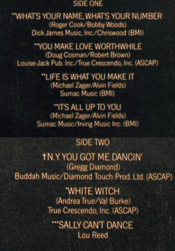 True Connection,Andrea: What's Your Name,What's your Number, Buddah (6.23432 AO), D, m-/vg+, 1978 Typ: LP Best.-Nr.: V4102 Preis: 12,50 Euro
