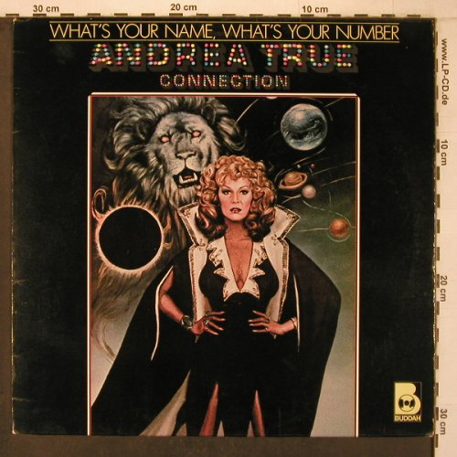 True Connection,Andrea: What's Your Name,What's your Number, Buddah(6.23432 AO), D, 1978 - LP - X7278 - 12,50 Euro