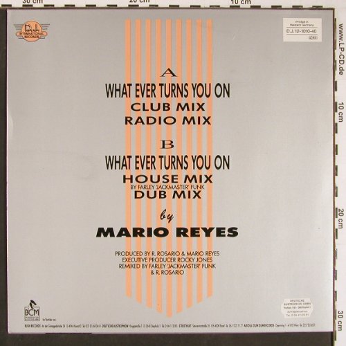 Reyes,Mario: What Ever Turns You On*2, DJ International(D.J. 12-1010-40), D,  - 12inch - Y325 - 5,00 Euro