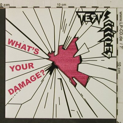 Test Icicles: What's your damage/Class is over, Domino(RUG217), UK, 2006 - 7inch - T3749 - 4,00 Euro