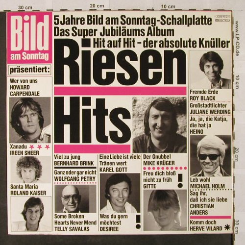 V.A.Riesen-Hits: Carpendale...Karel Gott, 16 Tr., EMI/Bild(058-46 314), NL, 1980 - LP - E8721 - 4,00 Euro