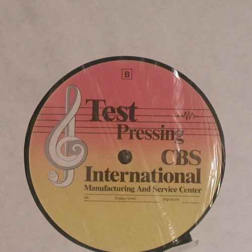 Wegner,Bettina: Wenn Meine Lieder Nicht MehrStimmen, CBS/Test Pressing(OI-84523), No Cover, 1980 - LP - F5900 - 5,00 Euro