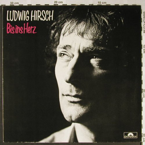 Hirsch,Ludwig: Bis Ins Herz, Polydor(810 779-1), D, 1983 - LP - H2291 - 4,00 Euro