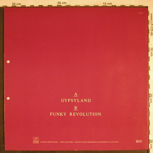 Fleming,Joy: Gypsyland / Funky Revolution, Rough Diamonds(RD 02283), D, 1988 - 12inch - H8279 - 3,00 Euro