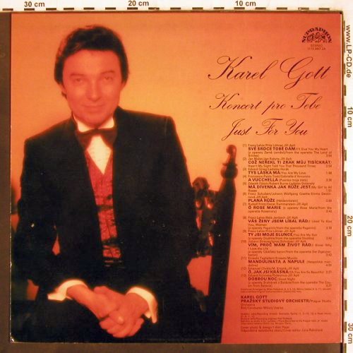 Gott,Karel: Koncert pre Tebe, Supraphon(1113 3447 ZA), CZ, 1983 - LP - V3564 - 7,50 Euro