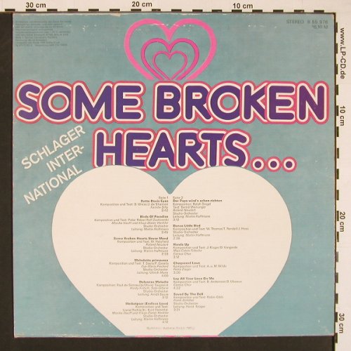 V.A.Some Broken Hearts...: Familie Silly ..Schöbel St.Orch., Amiga(8 55 976), DDR, 12Tr., 1982 - LP - X8483 - 6,00 Euro