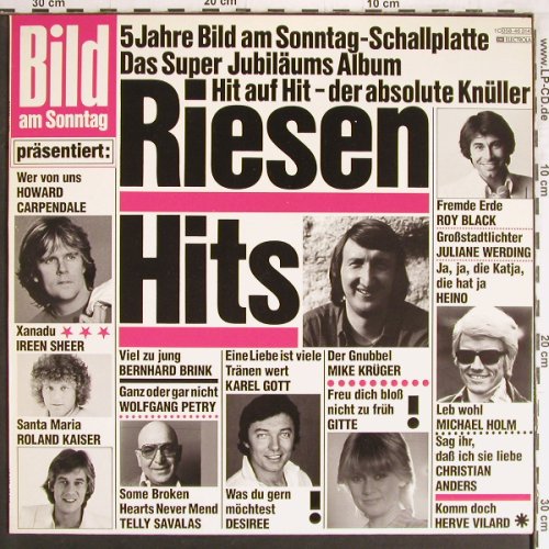 V.A.Riesen-Hits: Carpendale...Karel Gott, 16 Tr., EMI/Bild(058-46 314), NL, 1980 - LP - Y3284 - 5,00 Euro