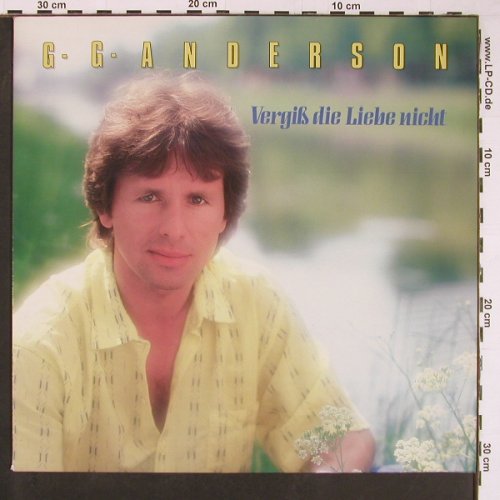 Anderson,G.G.: Vergiß die Liebe nicht, Hansa(208 525), D, 1987 - LP - Y416 - 6,00 Euro